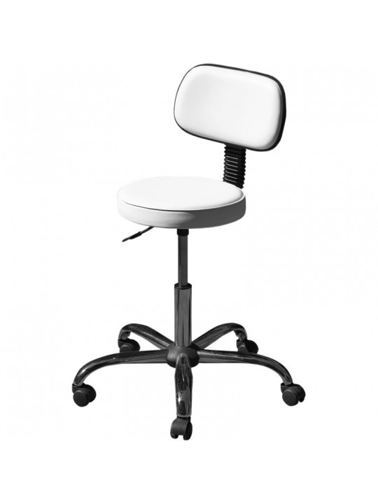 Biomak Stool With Backrest, Chrome