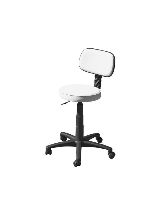 Biomak Stool With Backrest