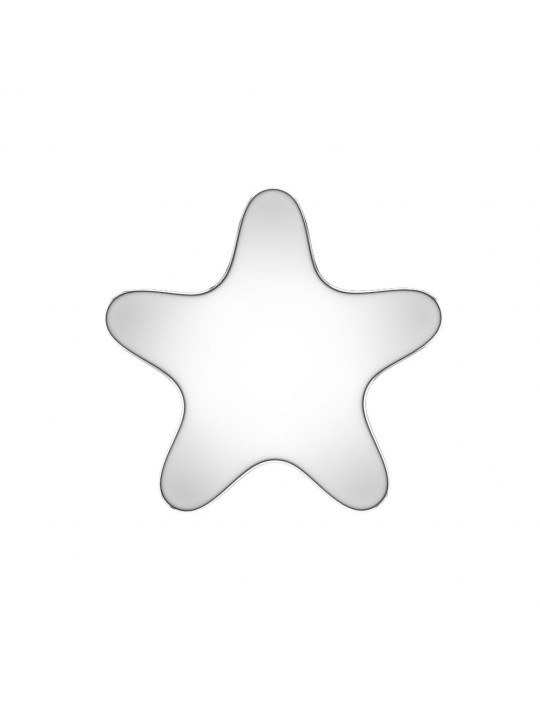 „Studex“ sidabrinės žvaigždės auskarai