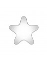 Cercei Studex Silver Star