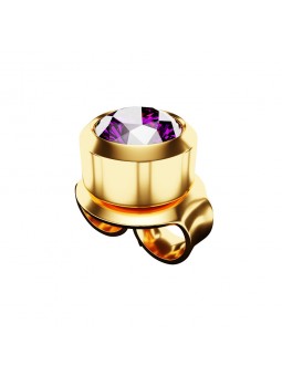 „Studex Plus“ visas ametisto auskarų komplektas, auksinis