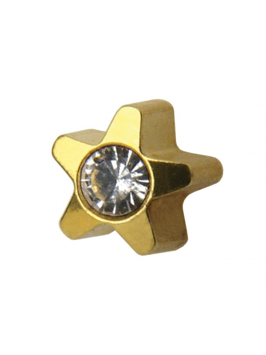 „Studex“ auksiniai deimantiniai auskarai su žvaigždute