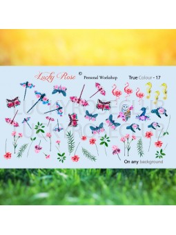 Tikros spalvos nagų vandens lipdukai-17