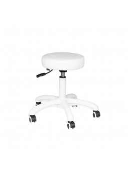 AM-303-2 cosmetic stool, white