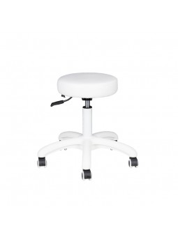 AM-303-2 cosmetic stool, white