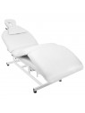 Electric lounger for massage Azzurro 693A 1 motor. white