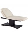 Spa beauty lounger Azzurro 805 1 motor. heated venge/latte