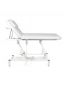 Sillon Electric lounger for massage 079 1 motor white