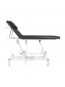 Sillon Electric lounger for massage 079 1 motor black