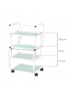 Cosmetic table type 1012 Giovanni