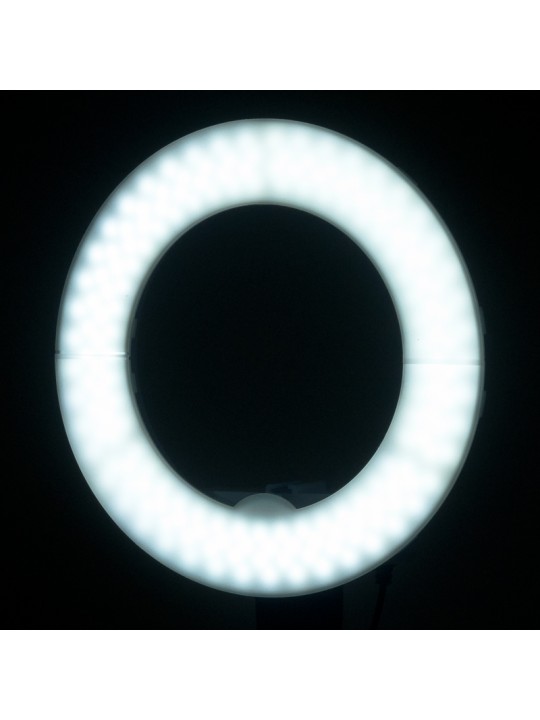 Білий світлодіодний кільцева лампа 10' 8W