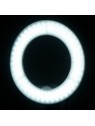 Kruhové světlo 10' 8W bílá kruhová LED lampa