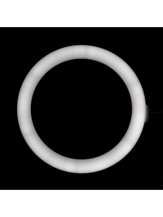 Ring light 10' 8W black LED ring lamp for countertop