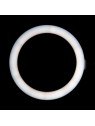 Ring light 10' 8W black LED ring lamp for countertop