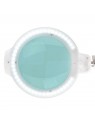 LED magnifying glass lamp Glow Moonlight 8012/5' white for the tabletop