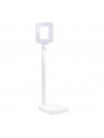 Elegante LED Square 804 desk lamp