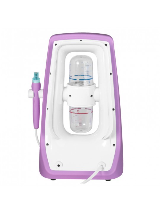 H1301 hydrogen purification device violet