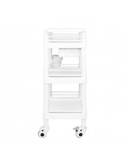 Kosmetický asistent 004