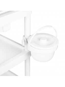 Beauty assistant 004