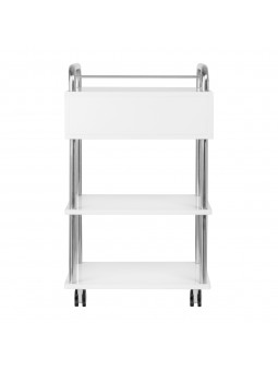 Podiatry assistant 6050 white