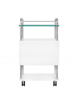 Podiatry assistant 6052 white