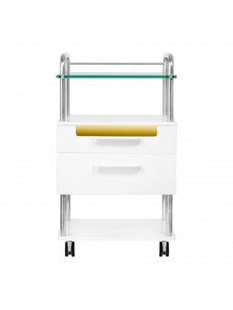 Podiatry assistant 6052T white