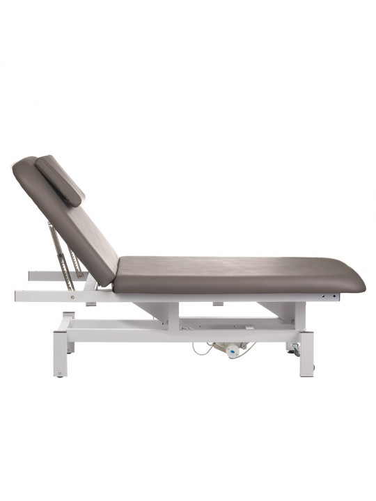 BD-8030 electric rehabilitation table, gray