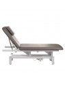 BD-8030 electric rehabilitation table, gray