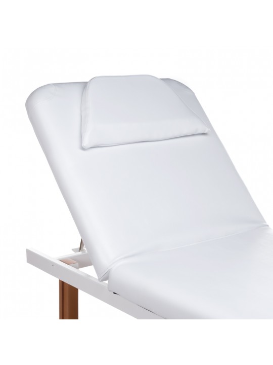 BD-8240B massage bed