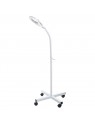 Lampa s lupa BR-663G