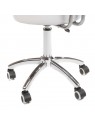 BT-229 cosmetic stool, white