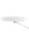 Lampa warsztatowa led Elegante 801-tl z imadełkiem reg. natężenie i barwa światła white