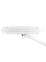 LED dílenské svítidlo Elegante 801-TL s nastavitelnou základnou intenzitu a barvu bílého světla