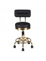 Gold AM-830 cosmetic stool, black