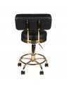 Gold AM-830 cosmetic stool, black