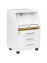 Podiatry assistant 601 white