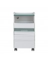 Podiatry assistant 984 gray