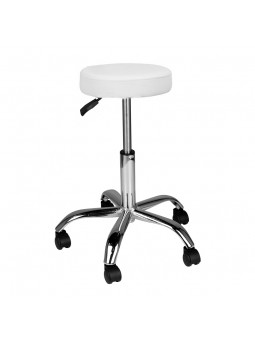 AM-310 cosmetic stool, white