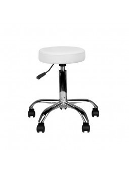 AM-310 cosmetic stool, white