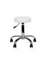 AM-310 cosmetic stool, white