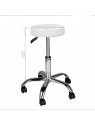 AM-310 cosmetic stool, white