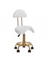 Cosmetic stool 6001-G gold - white