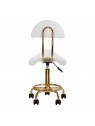 Cosmetic stool 6001-G gold - white