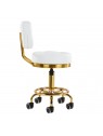 Gold AM-830 cosmetic stool, white