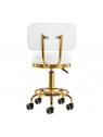 Gold AM-830 cosmetic stool, white