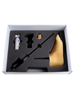 Подологічна стопа - фантом, модель підологічної стопи з розділеними пальцями для ручних вправ Mavi-Go DaVinci