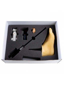 Podological foot - phantom, podological foot model for Mavi-Go DaVinci manual exercises