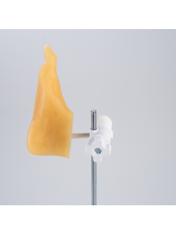 Stopa podologiczna - fantom, model stopy podologicznej do ćwiczeń manualnych Mavi-Go DaVinci