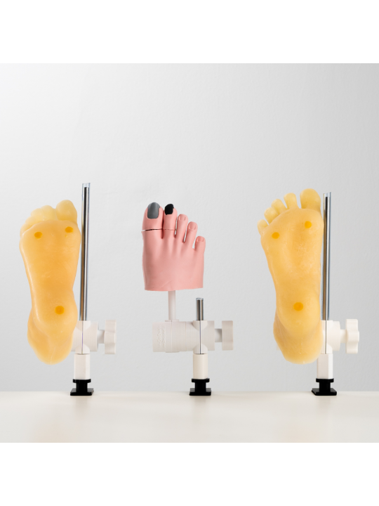 A phantom foot, a model of a foot for manual exercise