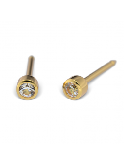 Studex System 75 Cubic zirconia earrings in a full frame, gold 2mm